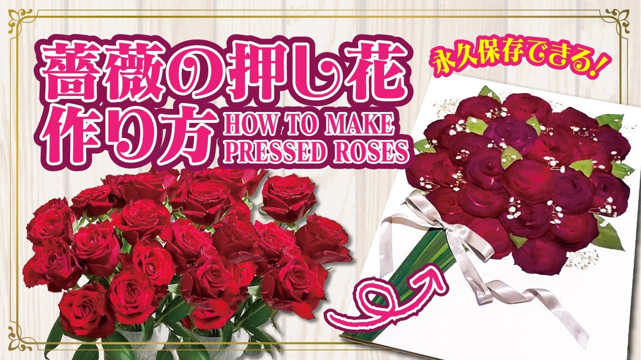 【初心者でも挑戦可能】バラの押し花の作り方！感動的なアート作品に仕上げよう！／How to make pressed roses