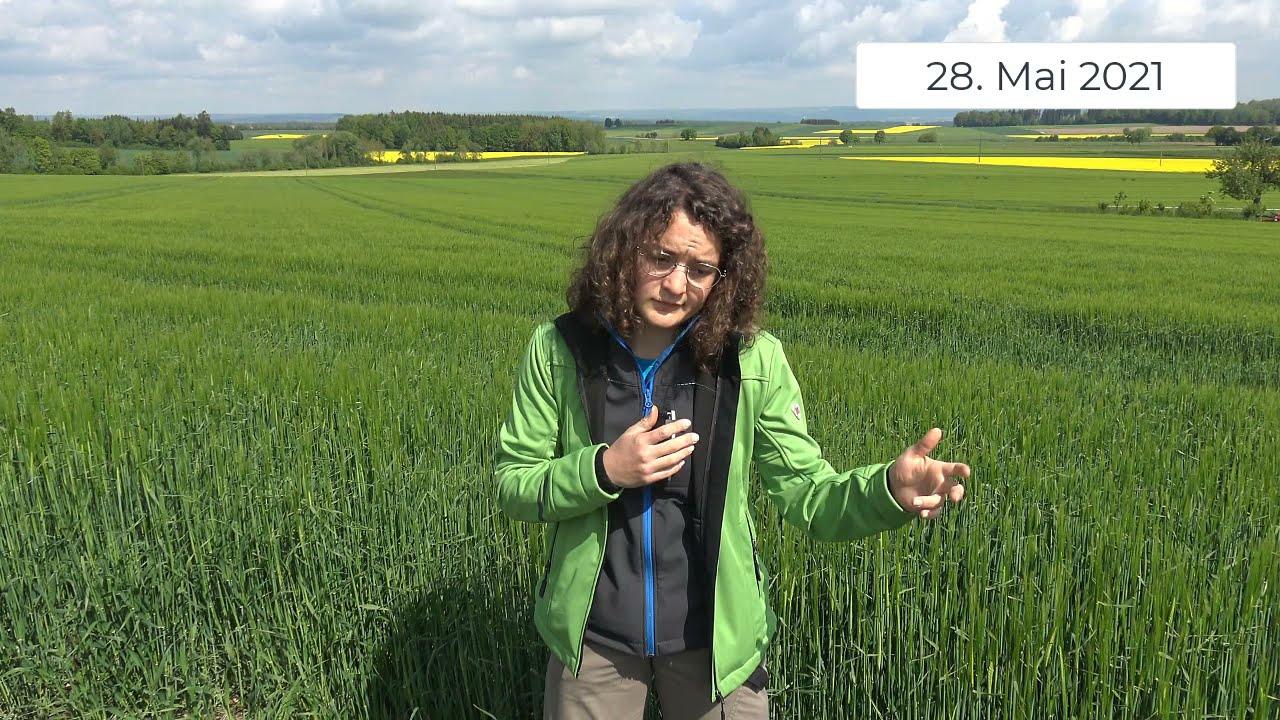 Pflanzenbau Aktuell - 28.05.2021