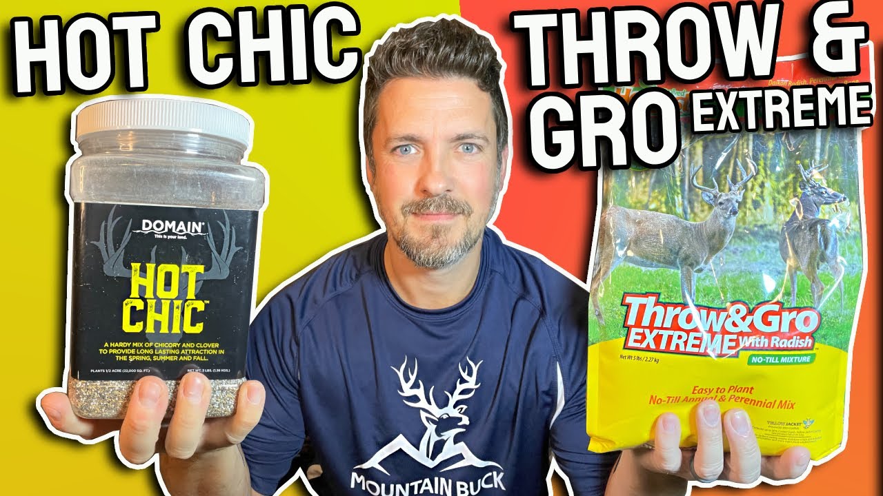 Hot Chic vs. Throw & Gro Extreme: Deer Choose Which is BEST! Domain Outdoor or Evolved No Till Plot