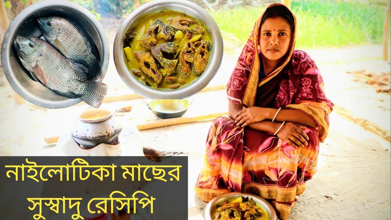 আলু দিয়ে নাইলোটিকা মাছের রেসিপি।Nilotica fish recipe with potatoes.#villagevlogwithsharbari #recipe 