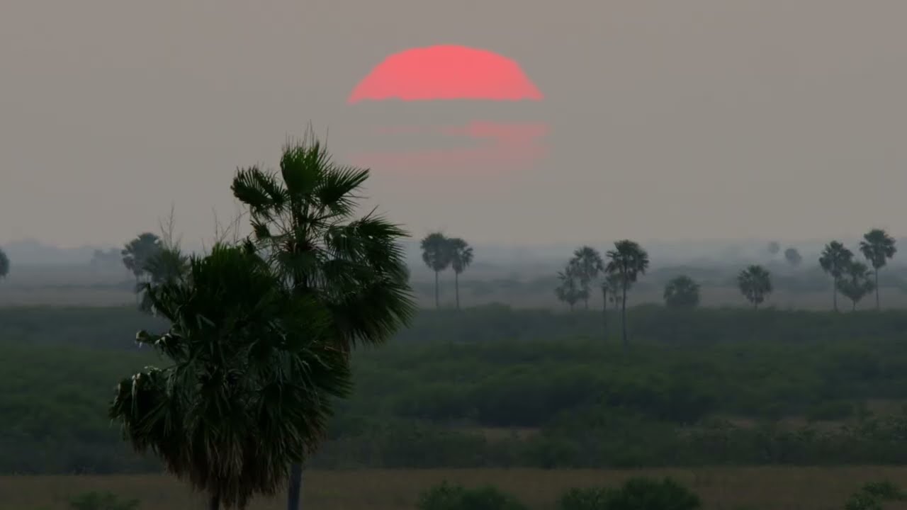 Reel Gianfranco Mancusi 2024