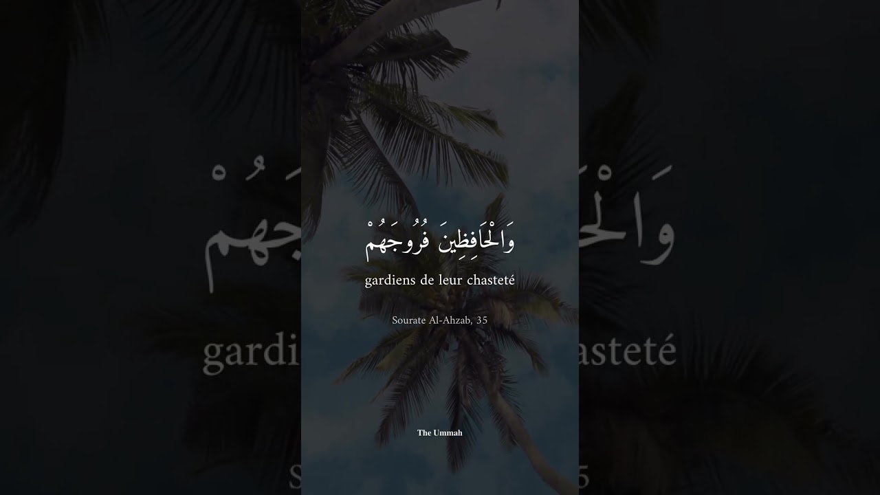 APAISE TON  C&OElig;UR ET M&Eacute;DITE CES VERSETS #islam #Short