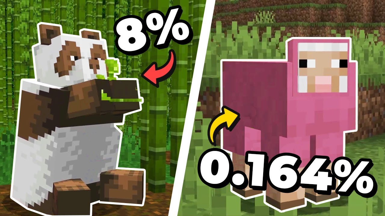25 Vzácných úkazů v Minecraftu