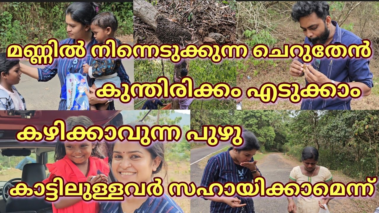 ഏറുമാടം, കുന്തിരിക്കം, കാട്ടുതേൻ, കാട്ടുച്ചക്ക അങ്ങനെ ഒരുപാടുണ്ട് ഇവിടെ 🥰