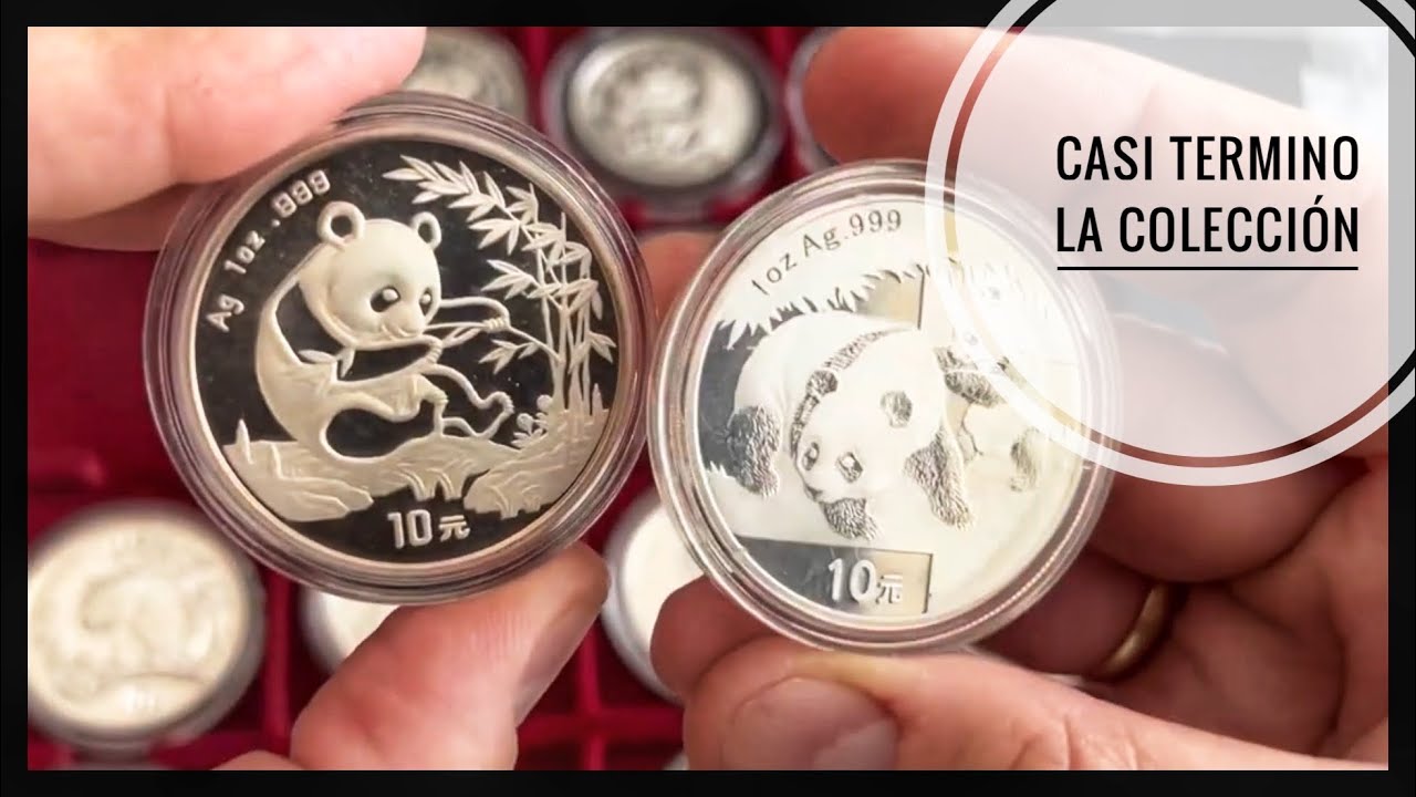 Pandas de Plata Chinos (los penultimos)