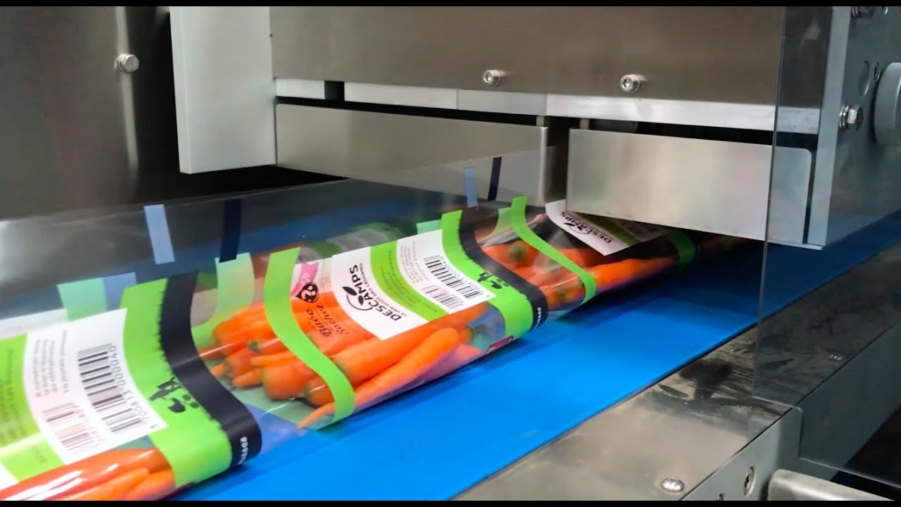 Flowpack GAMACO B1R // Jeunes pousses carottes // 10 carottes alignées