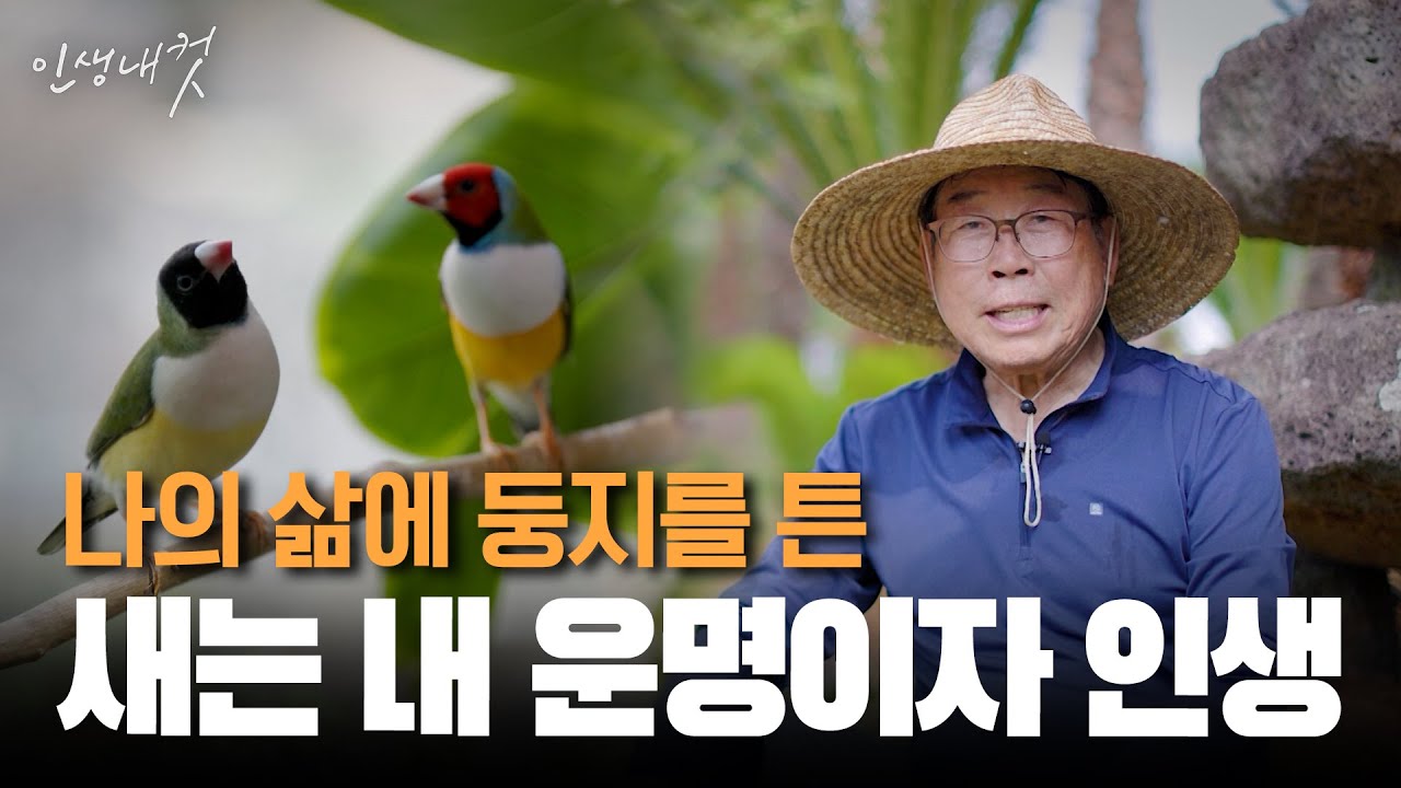 어느 날 날아든 새는 연구 대상을 넘어 나의 인생이 되었다 EP.3 | 조삼래 박사 | 인생내컷 | 2024년 8월 25일