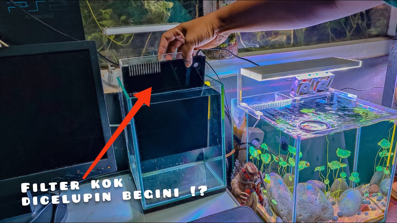 Merakit Sumpfilter Portable untuk Tank Aquascape Mini (L20xP20xT25)