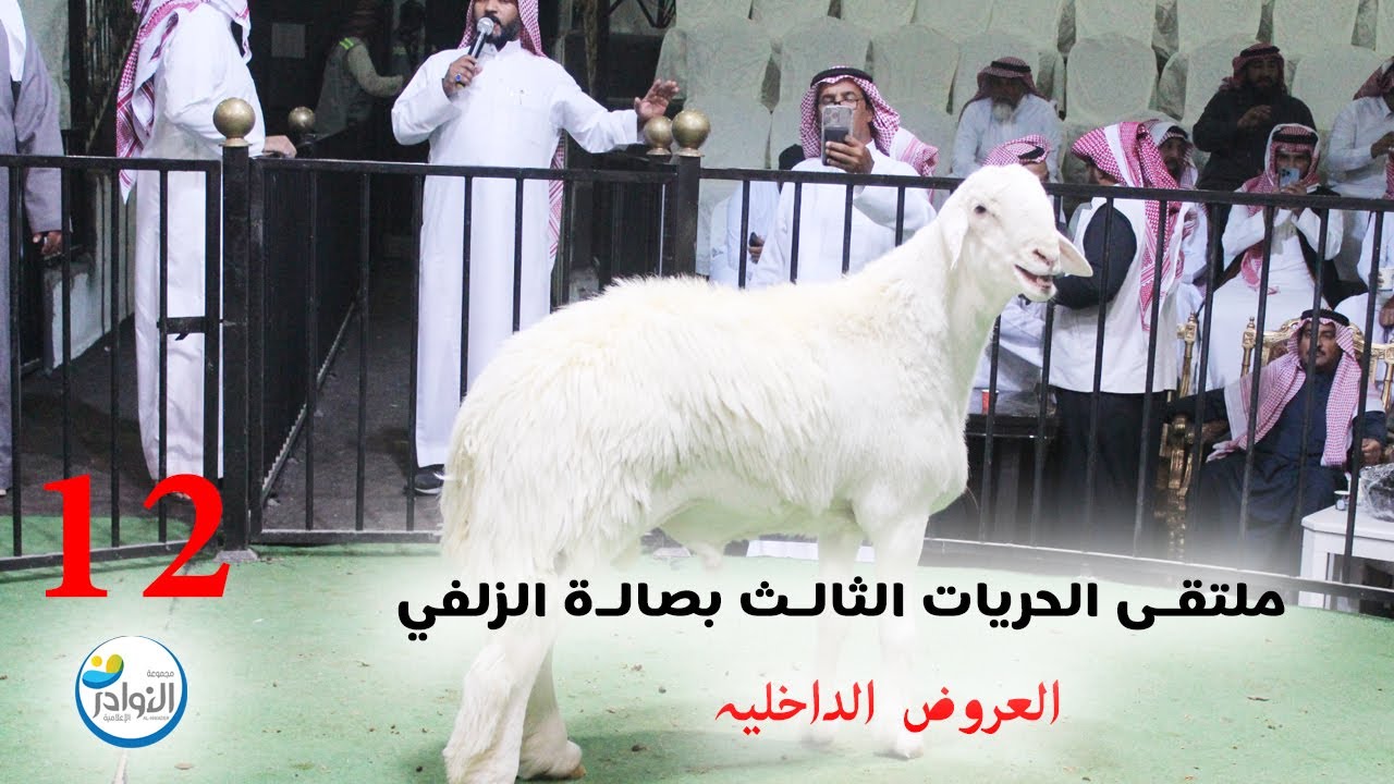 ملتقى الحريات الثالث بالزلفي (12)