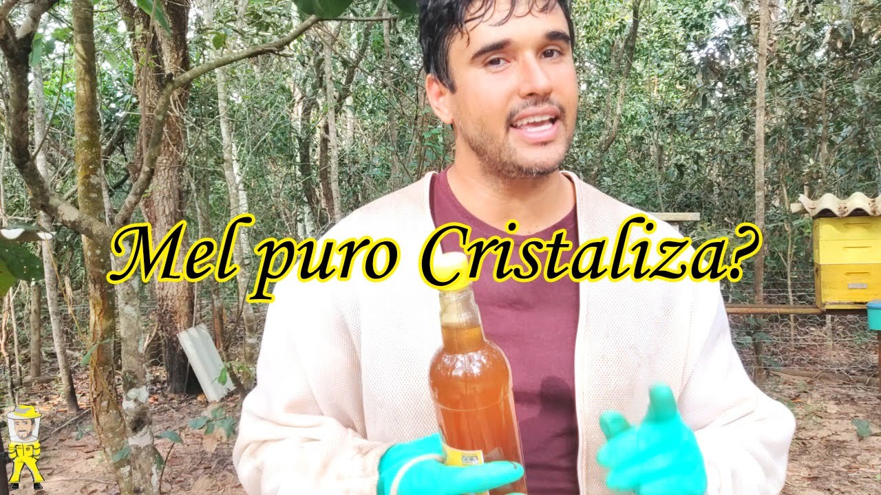 MEL PURO CRISTALIZA? | CRIANDO ABELHAS!