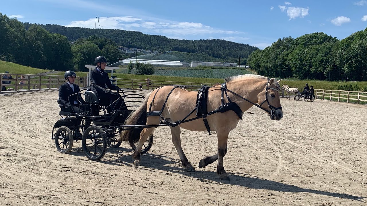 Vlog: NM Fjording 2019