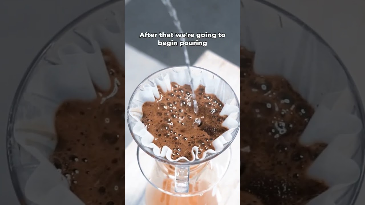 How to make a pourover coffee #v60 #pourover #coffee #barista