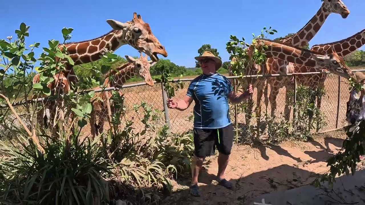 Coron safari tour