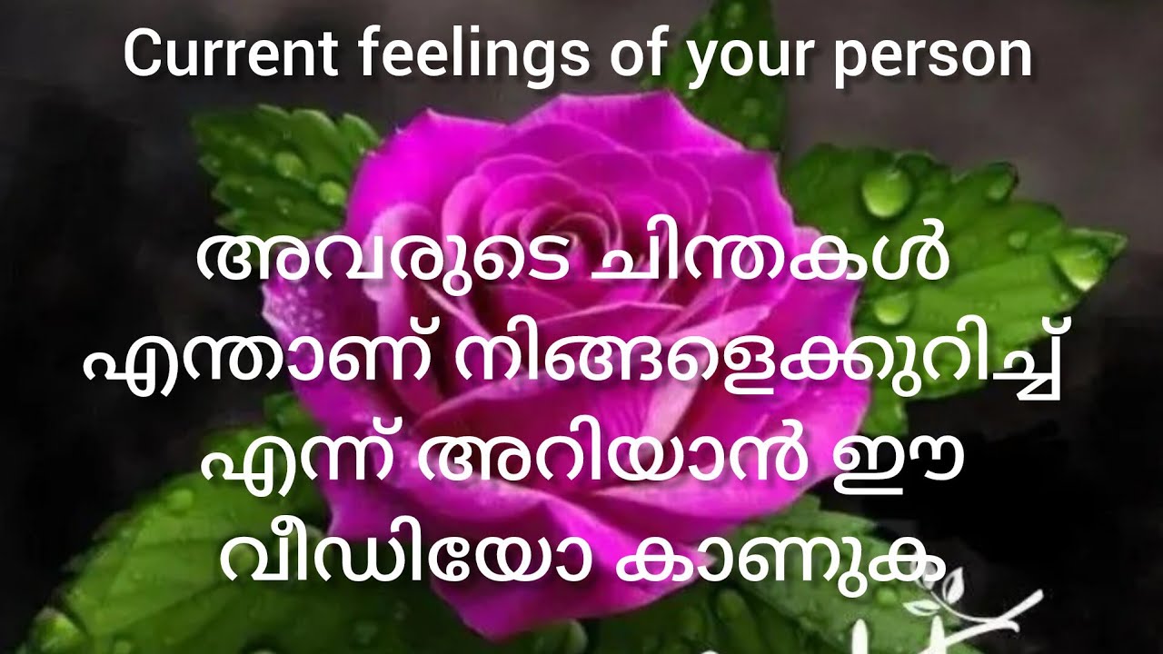 നിങ്ങളെക്കുറിച്ച് അവർ എന്താണ് ചിന്തിക്കുന്നത് എന്നറിയാൻ വീഡിയോ മുഴുവനായി കാണുക