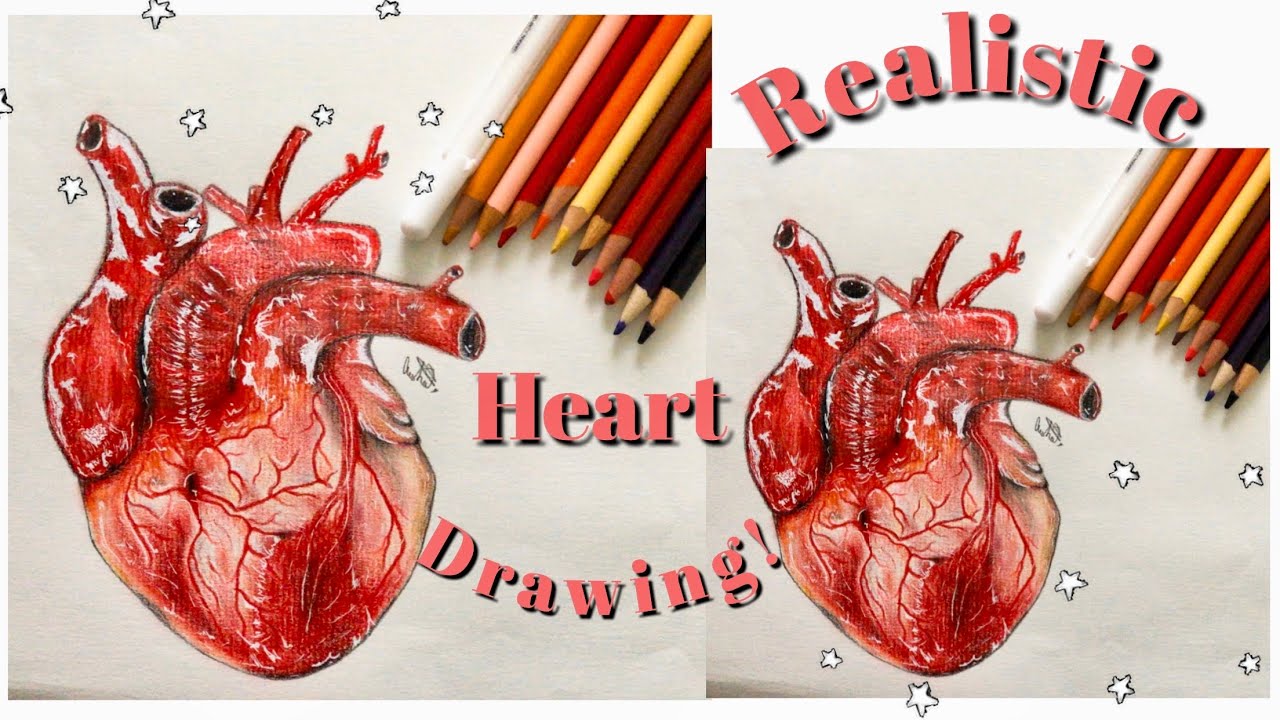 How to Draw a Realistic Human Heart Using Colored Pencils | Satisfying Speed Drawing!
