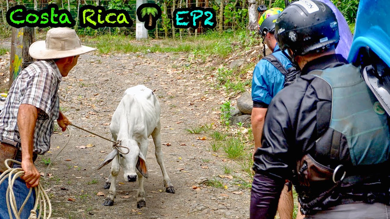 BIG WATER, COWBOYS & MONKEYS on the REVENTAZON | Kayaking in COSTA RICA EP2