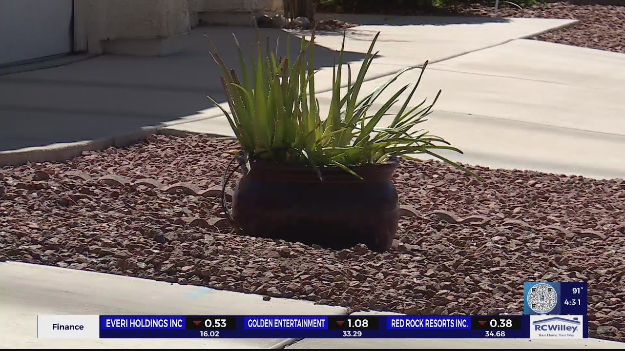 Homeowner receives HOA violation due to lack of plants