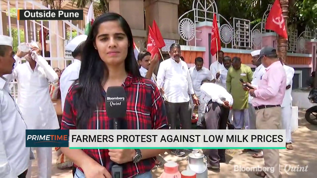 Dairy Farmers Protest In Maharashtra