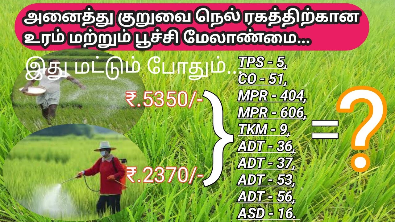 உங்கள் வயலில் உரம் மற்றும் மருந்து செலவு எவ்வளவு ஆகும்? | Low cast fertilizers and pesticides paddy