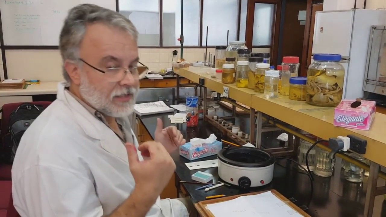 técnica histológica parte 3 de 4. Hernán Aldana