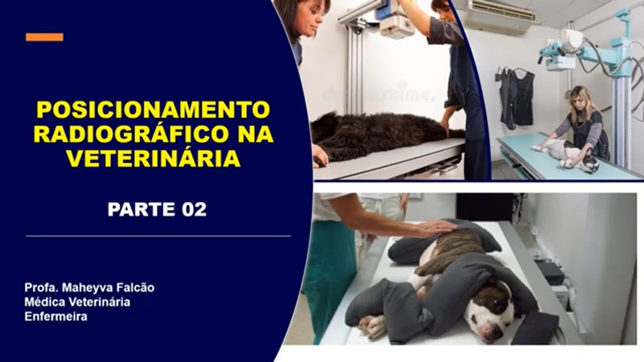6ª Aula Radiologia veterinária Parte 02  -  Posicionamento radiográficos em pequenos animais