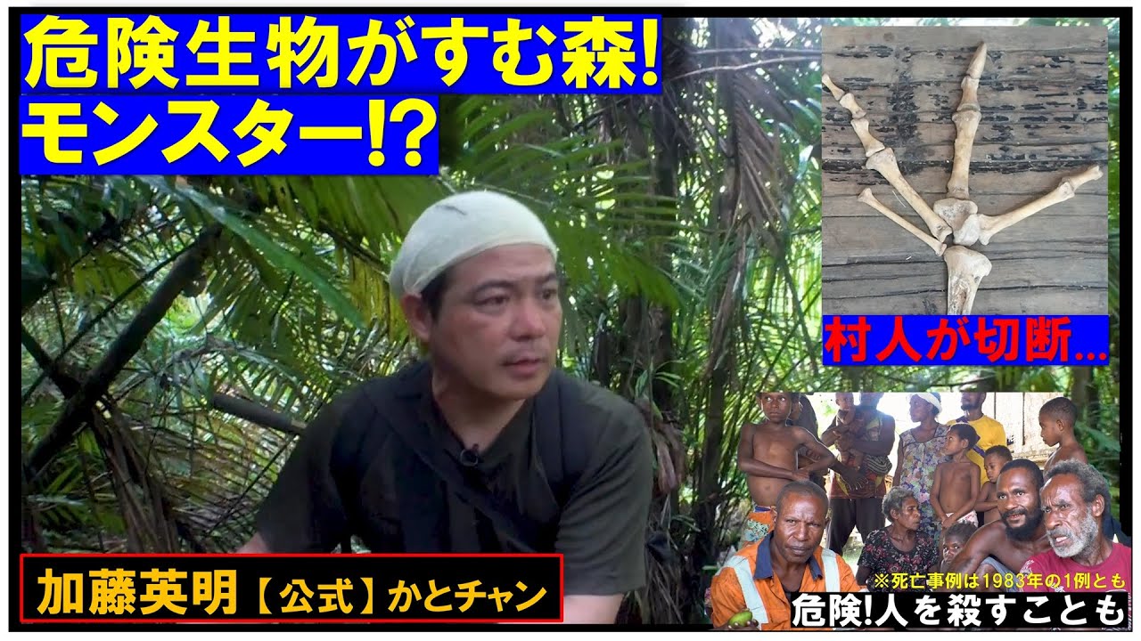 キックされたら内臓出ちゃう！？危険生物がすむ森！モンスターを探せ！クイズもあるよ！ニューギニアのジャングルで大調査！加藤英明と探検しよう！Newguinea Crisis≫ 加藤英明【公式】かとチャン