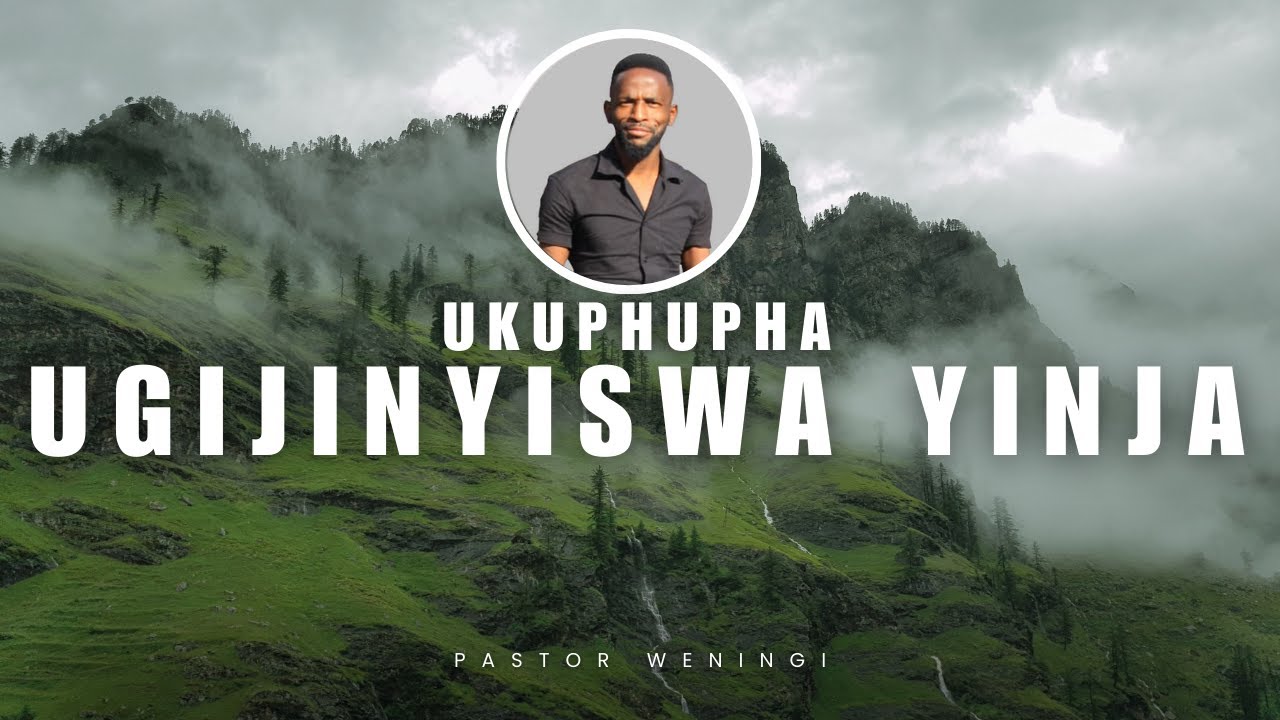Ukuphupha ugijinyiswa yinja | @pastorweningi