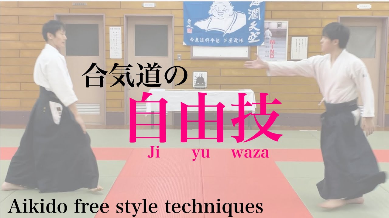 合気道 技法動画その11（自由技）