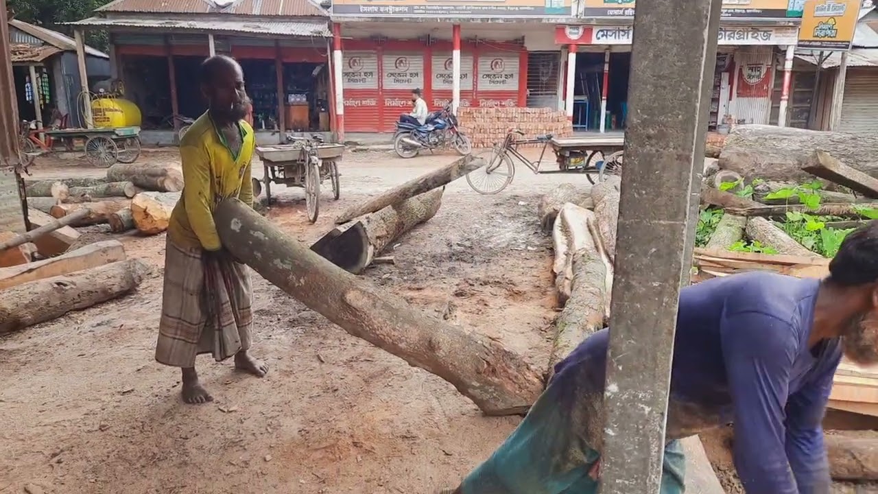 Deep Forest Sewing Hardwood Logs In Bangladesh | Massive Hardwood Sewing for Village School Asia