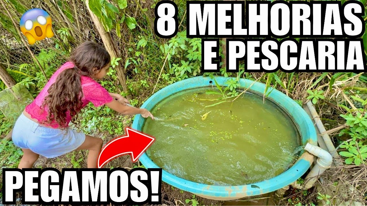 Pescando peixe com a Lara e 8 Melhorias na criação | Aves Recriar