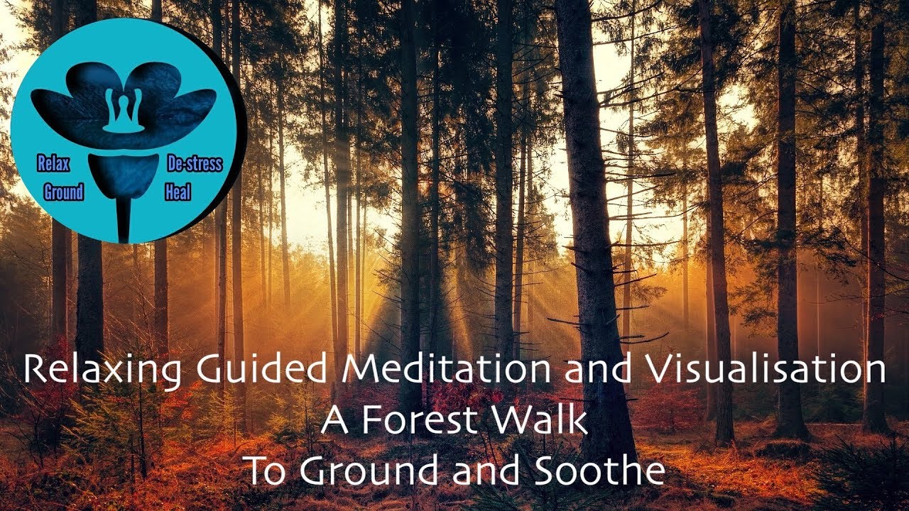 Relaxing Guided Meditation and Visualisation - A Forest Walk to Ground and Soothe #Sleep #Relax