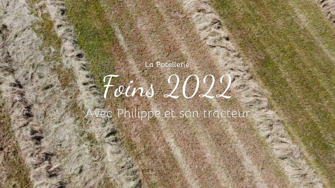 Foins 2022