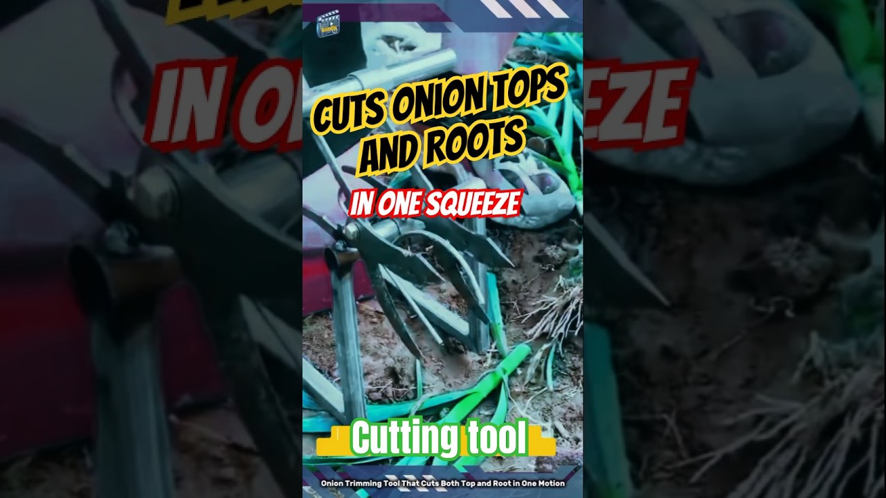 Onion Trimming Tool That Cuts Both Top and Root in One Motion