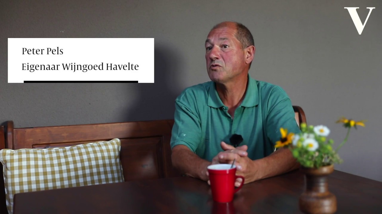 Wijngoed Havelte