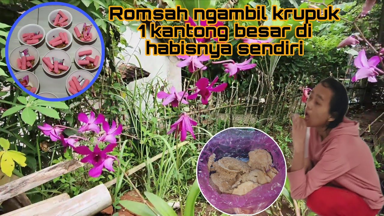 Krupuk di ambil semuanya sama Romsah #egoadriano #pedulikemanusiaan #petualanganalamdesaku #partitv 