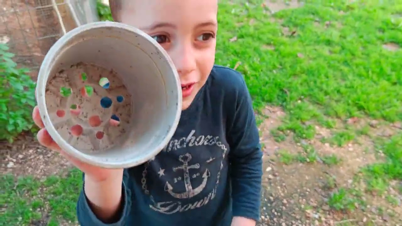 גידול תרנגולות כמרחב למידה