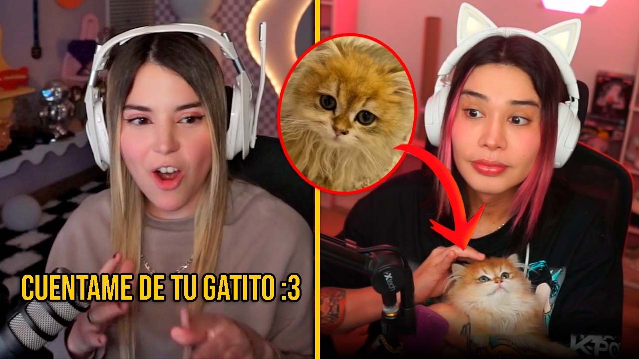 RIVERS REACCIONA al NUEVO GATITO de MOLLY 🐱💕