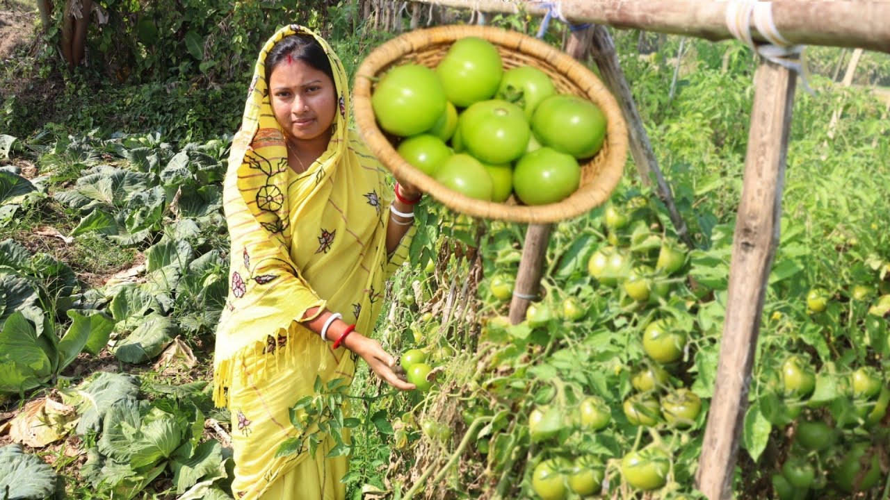 কাঁচা টমাটোর এমন বাটা রেসিপি থাকলে গরম ভাত রুটি পরোটা যেকোনোর সঙ্গে পুরো জমে যাবে || Green Tomato