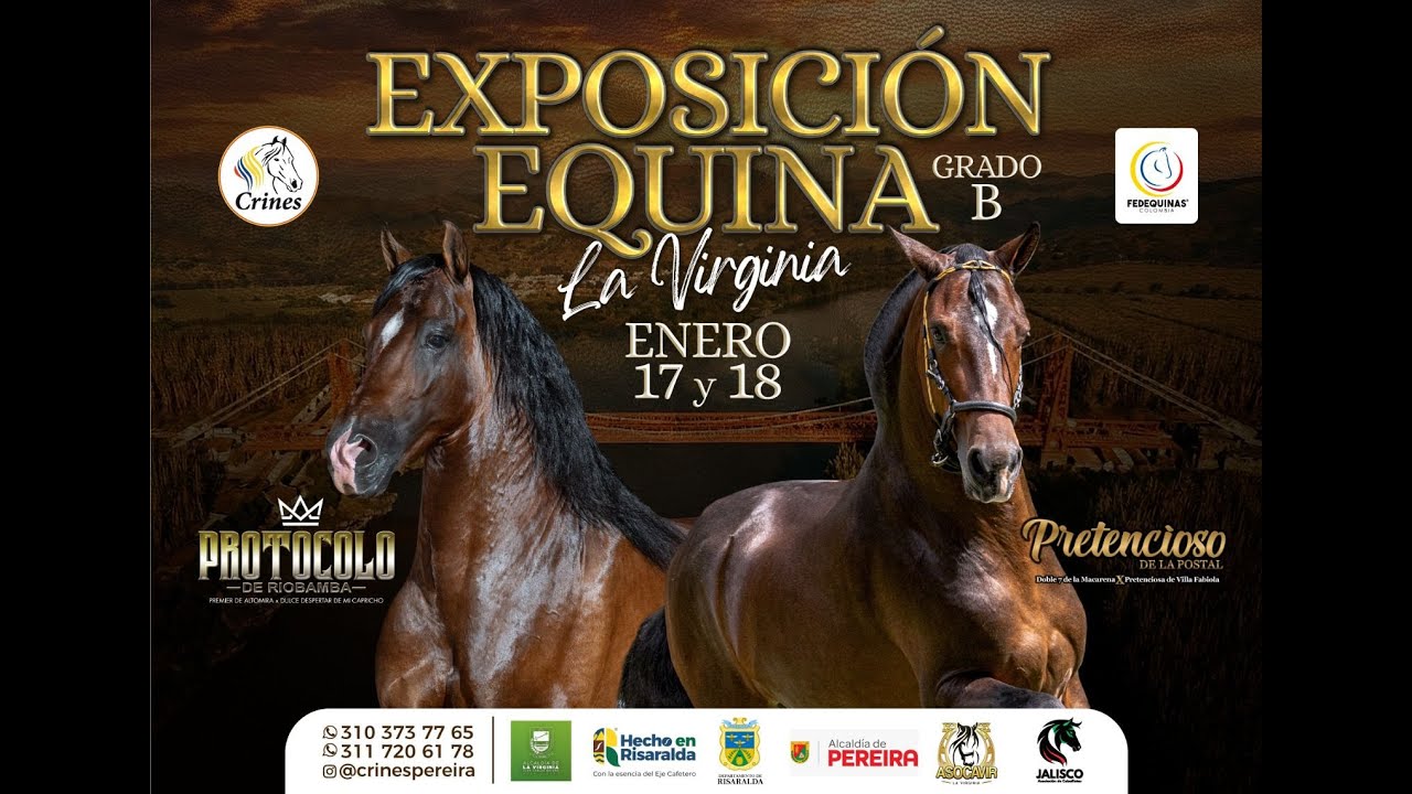 EXPOSICION EQUINA GRADO 