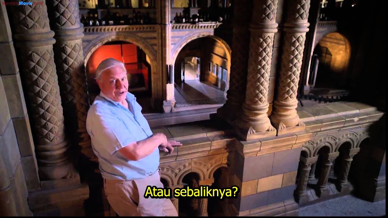 David Attenborough's Natural History Museum Alive with improved graphics!
