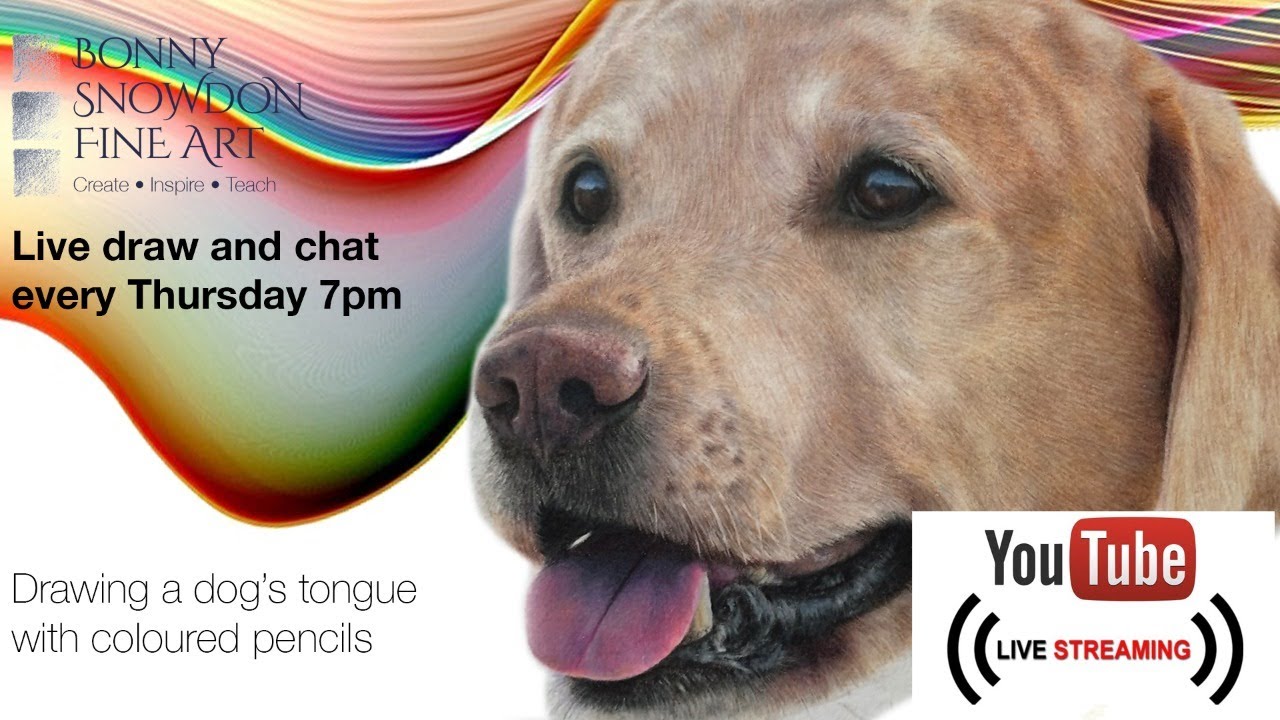 Live Draw Along | Drawing a Dog's Tongue with Coloured Pencils