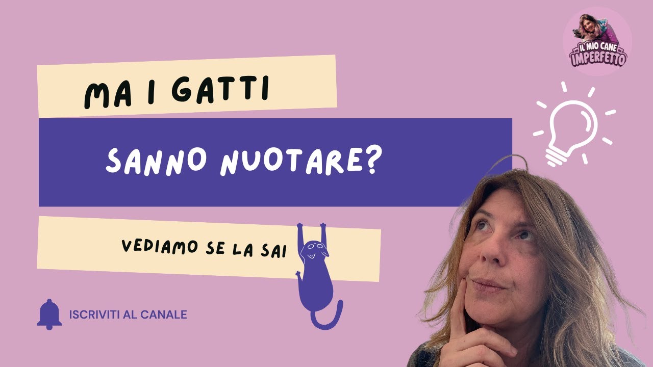 I gatti sanno nuotare?