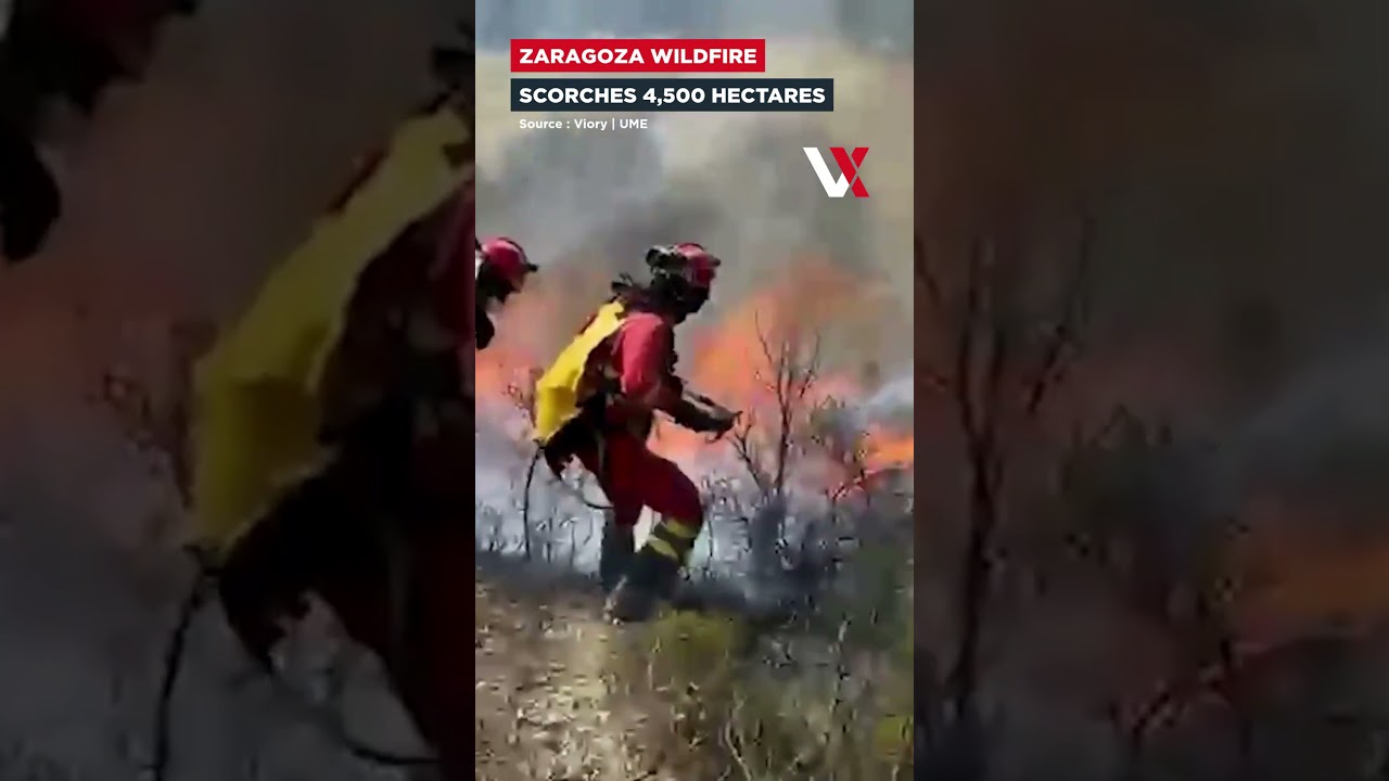 Wind-Fuelled Wildfire Rages Across Zaragoza, Damaging Homes & Forests | VERTEX