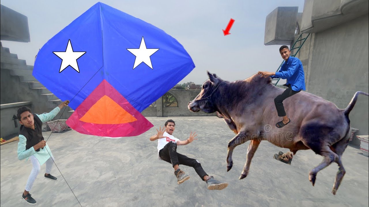 Kite Flying & Abubaker Eid Cow Catch | Kite