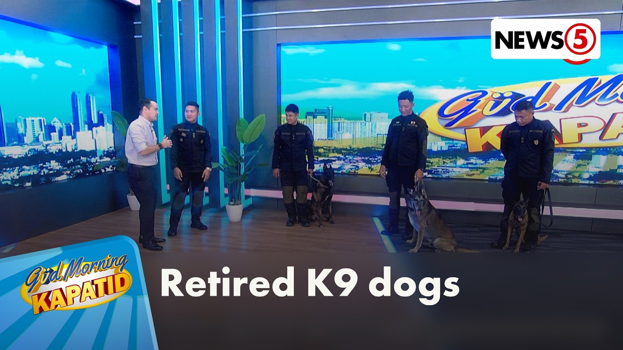 Hayop Ka: Retired K9 dogs | Gud Morning Kapatid