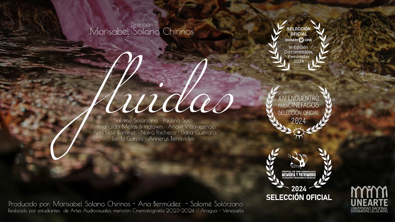 Videodanza | 