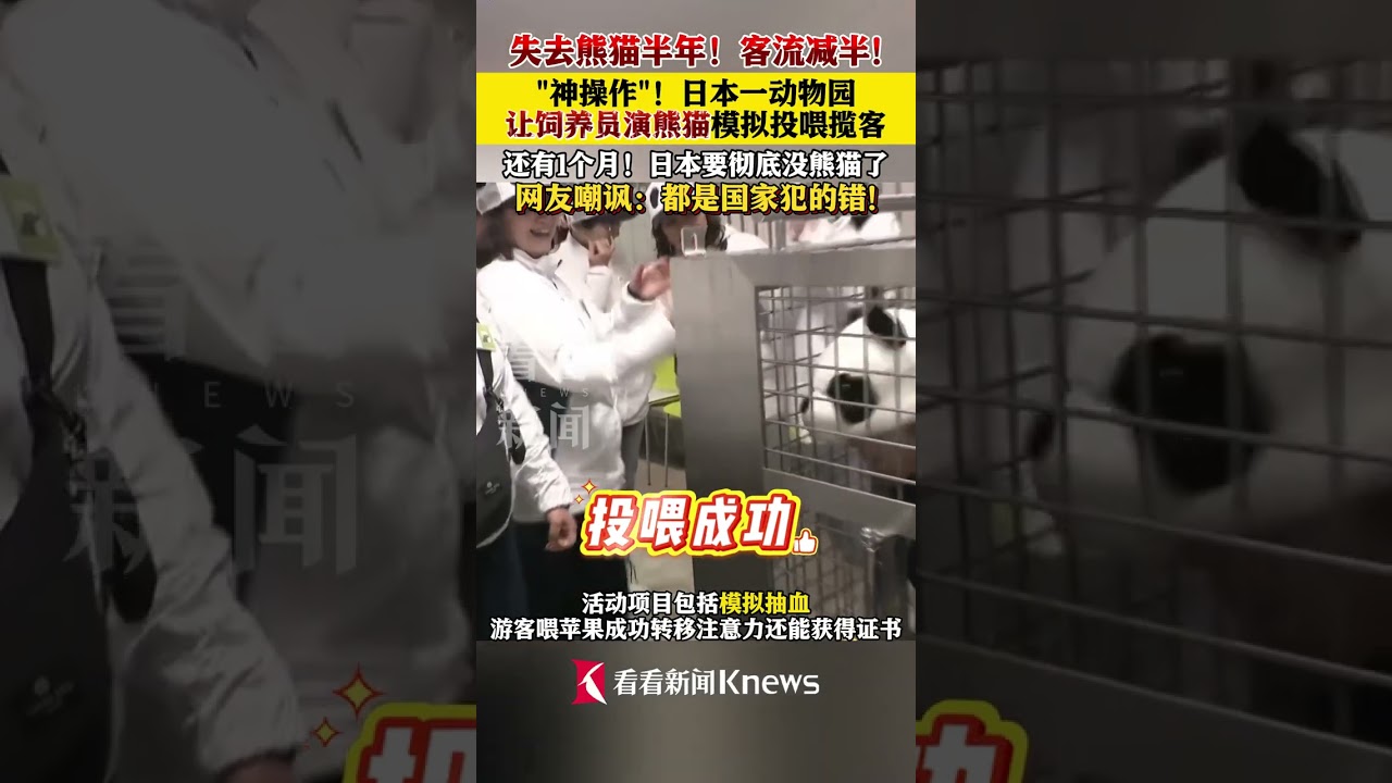 抽象！日本一动物园失去熊猫后让饲养员假扮揽客