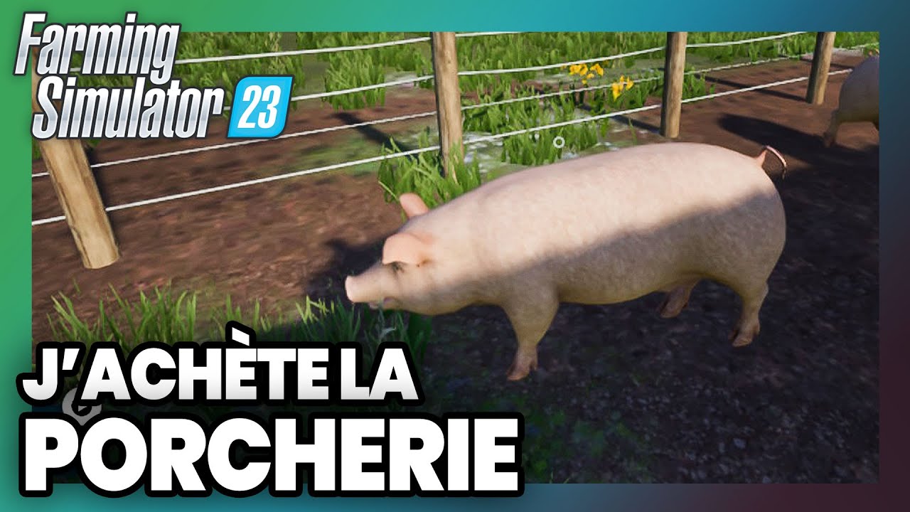FARMING SIMULATOR 23 : J'achète mes premiers COCHONS / GAMEPLAY FR