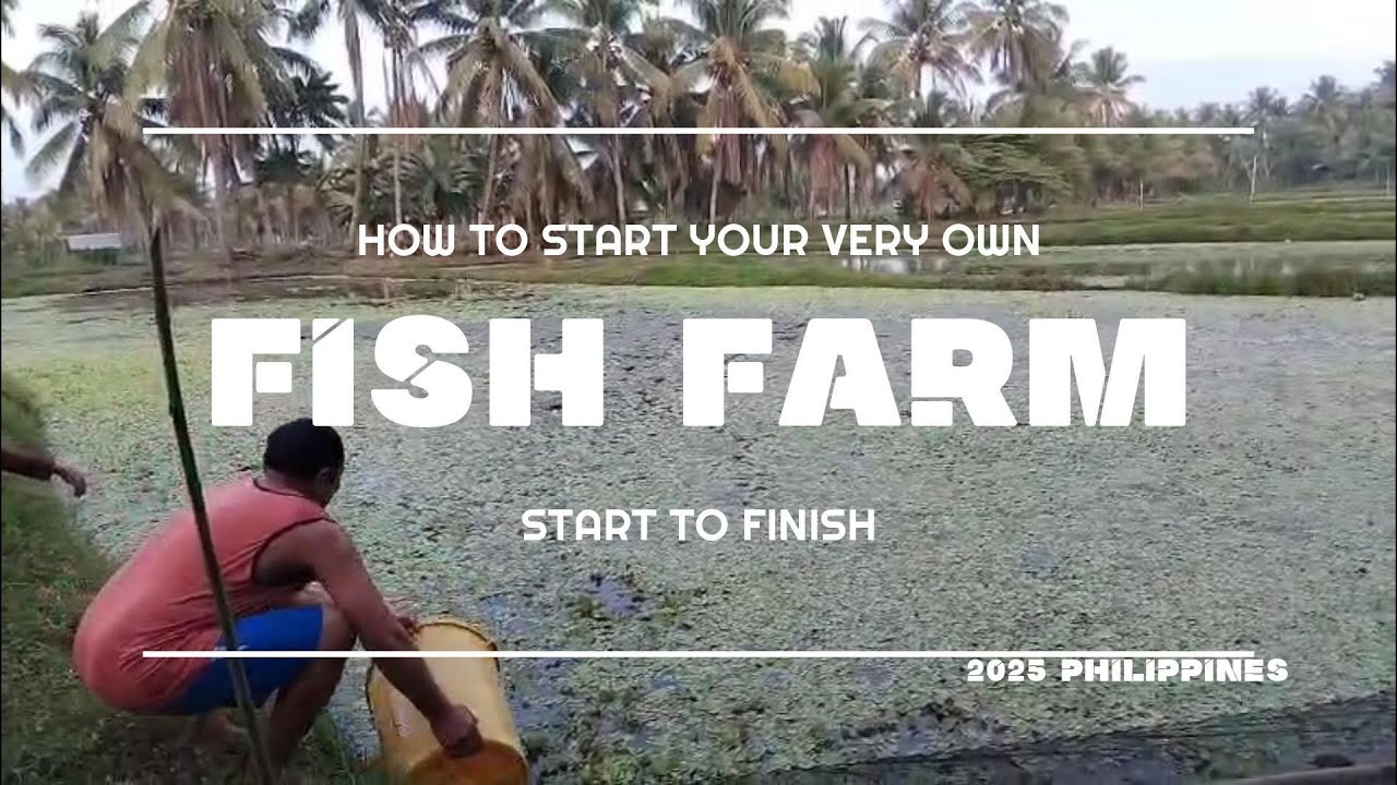 PH  $$ HOW TO START YOUR OWN FISH FARM,STEP BY STEP - START TO FINISH