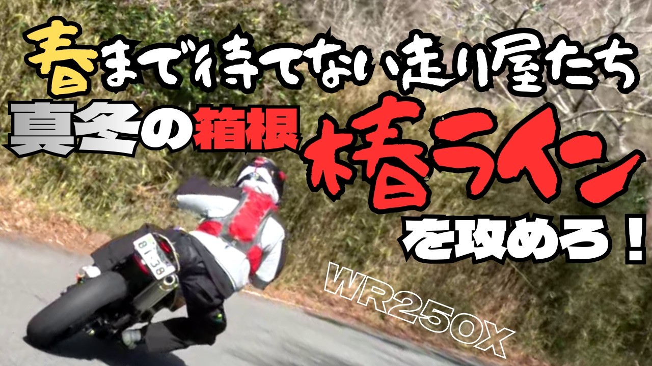 真冬の箱根でも攻められる！　椿ライン 金太郎ライン　#ツーリング #モトブログ #WR250X #バイク #椿ライン #金太郎ライン
